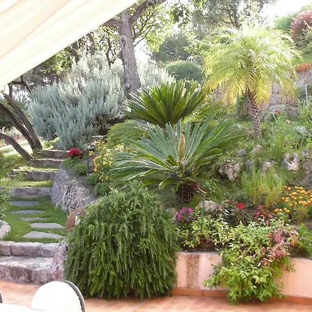 Villa Ginevra